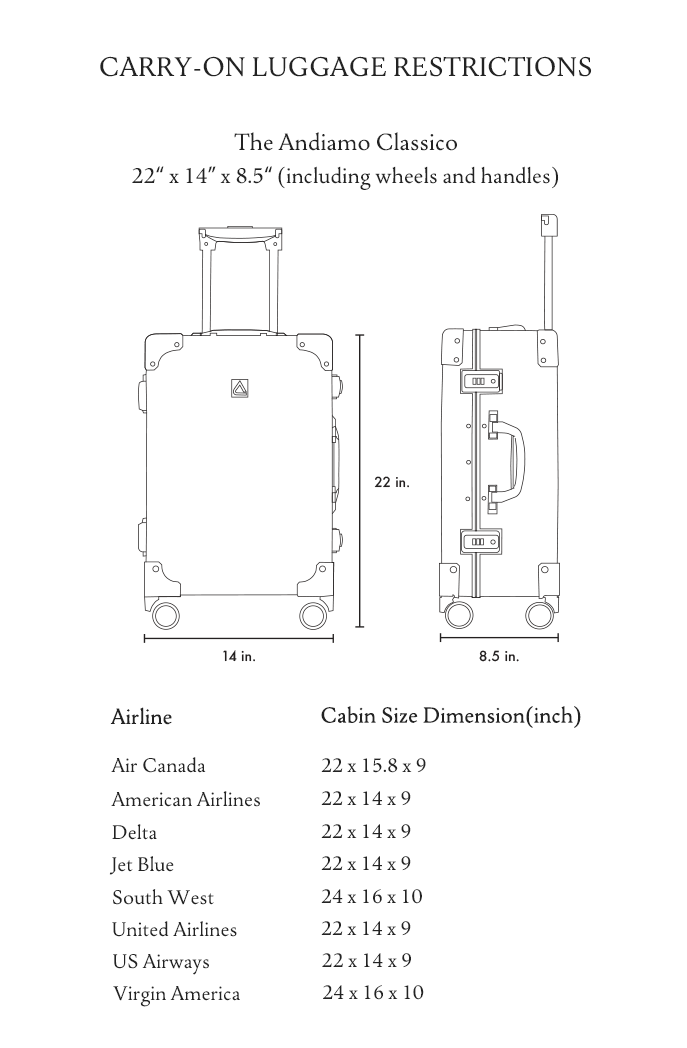 carry on luggage 22 x 14 x 9 inches